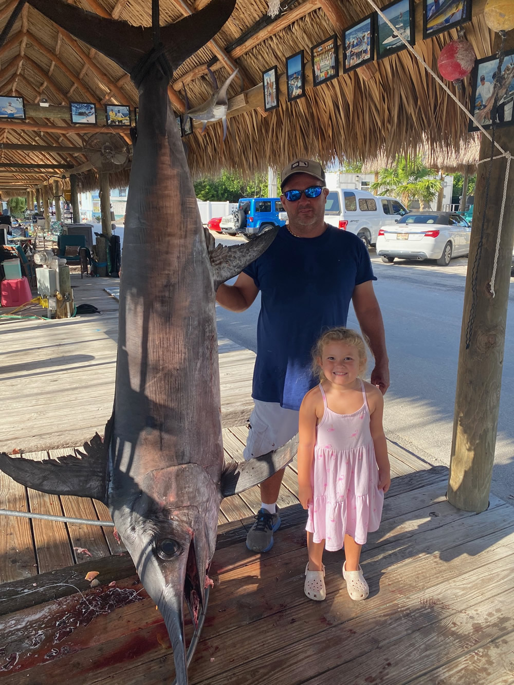 All About North Atlantic Swordfish Facts About Florida Keys Broadbills