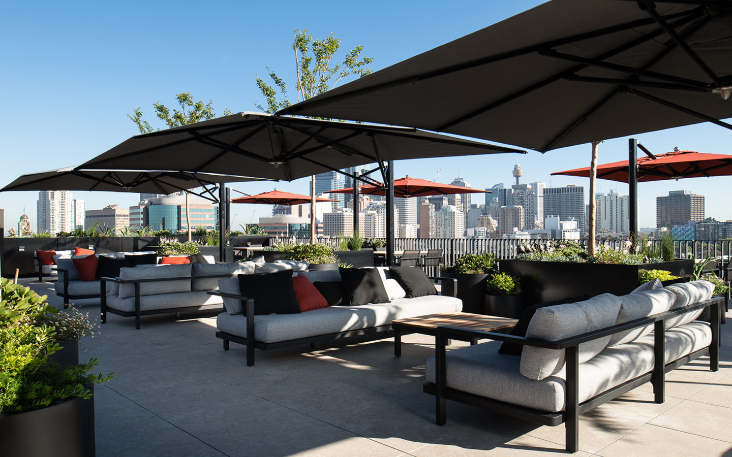 Roll on summer at Waterloo Street Rooftop Mainbrace Constructions