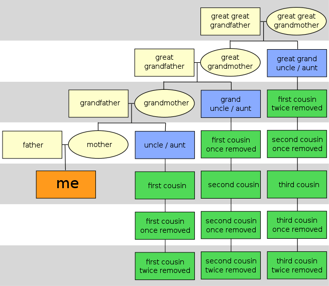 Cousin vs. Niece What's the Difference? Main Difference