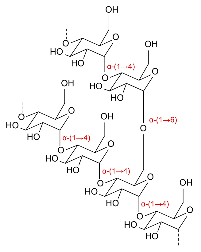 Dextrose vs. Dextrin What's the Difference? Main Difference