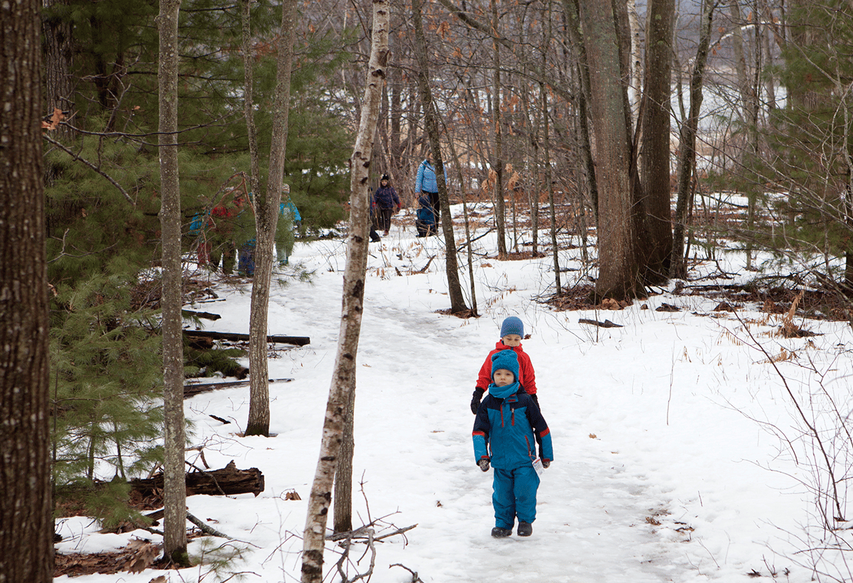 Maine Audubon Maine Audubon