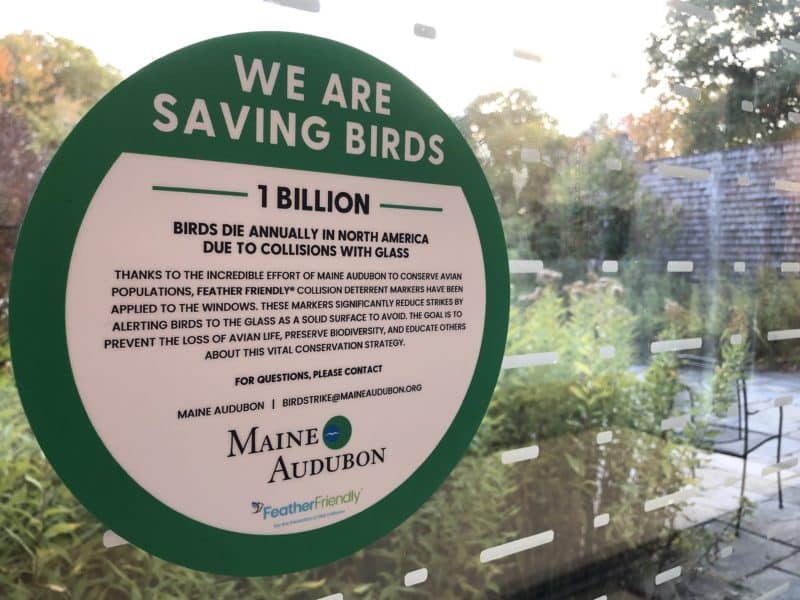 Installing Bird Safe Windows at Gilsland Farm Maine Audubon