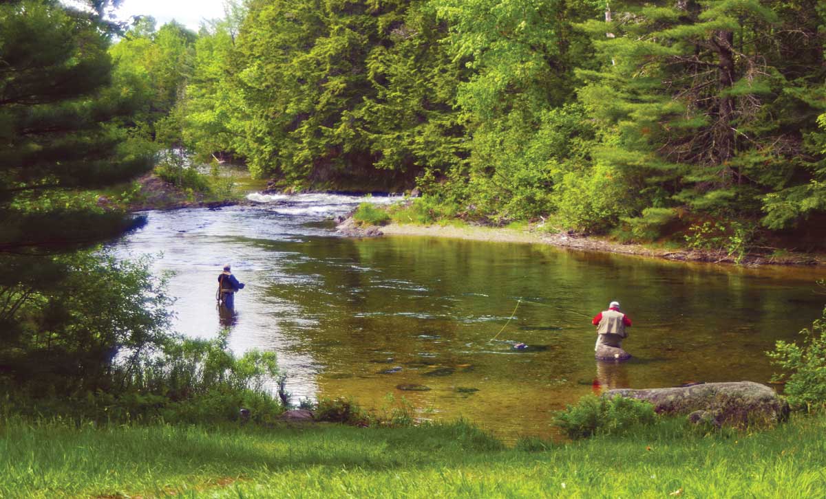 Ice Age Survivors Maine Boats Homes & Harbors