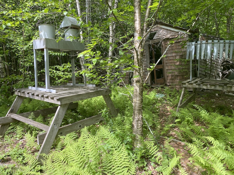 Lead Mountain, near Beddington Maine by Foot