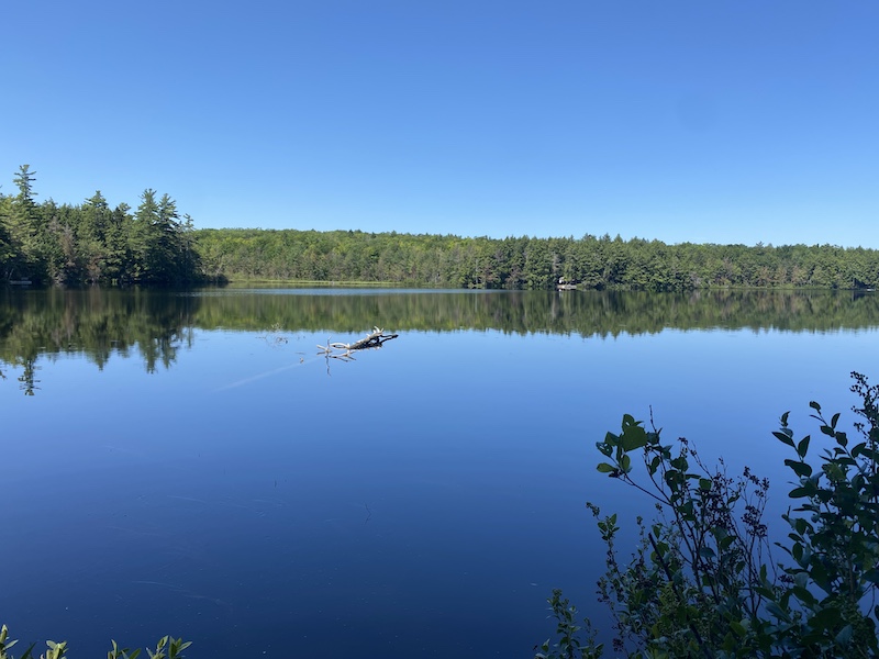 Two Ponds Nature Area, Otisfield Maine by Foot