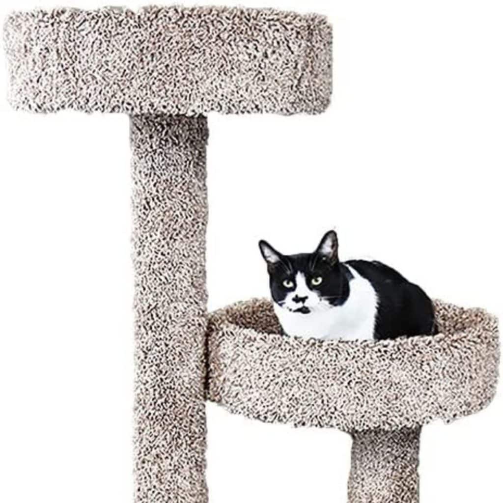 13 Best Cat Trees For Maine Coons in 2022 (Cat Tested!)