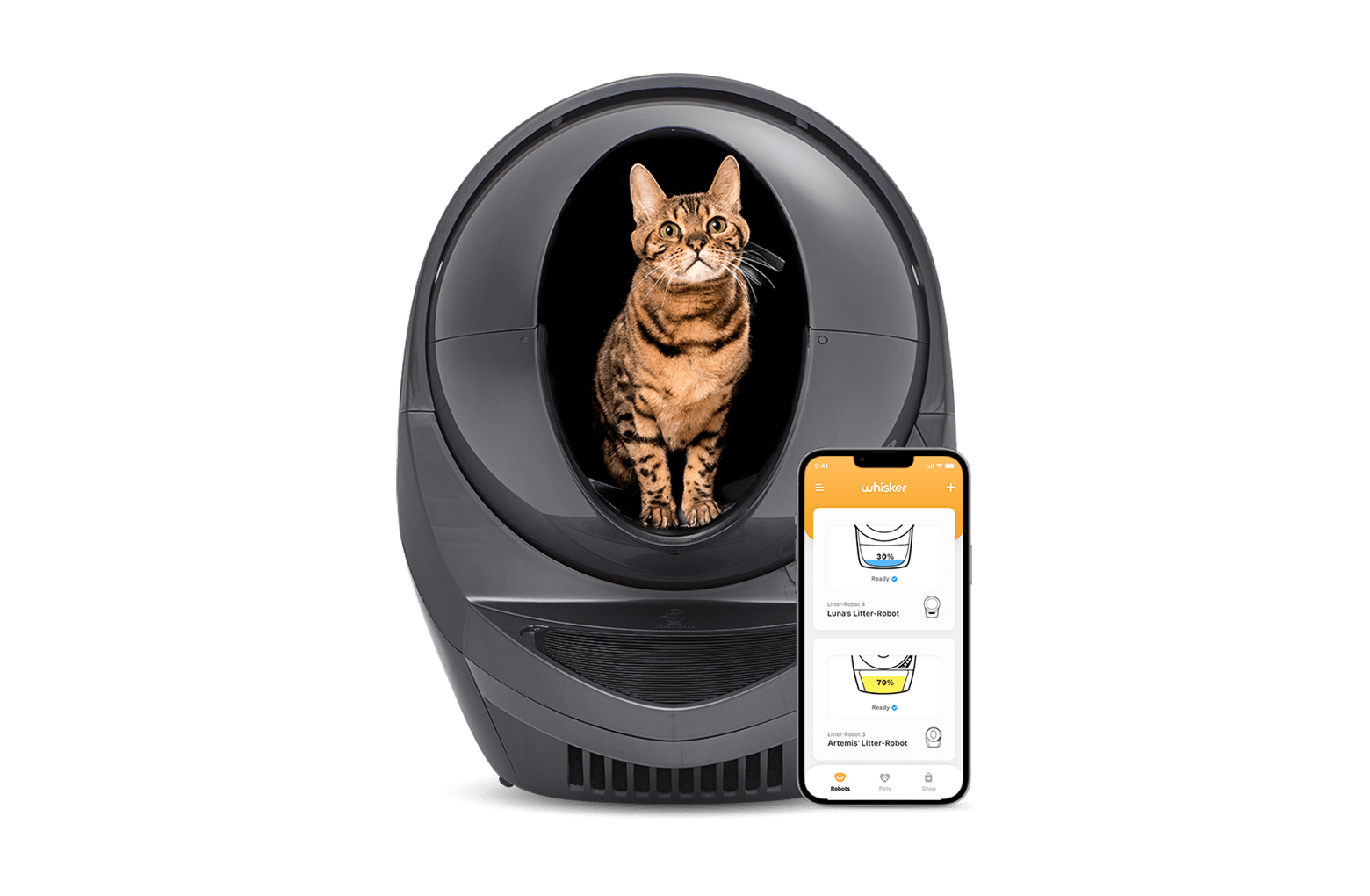 Can a Maine Coon Use a Litter Robot? Find Out Here!