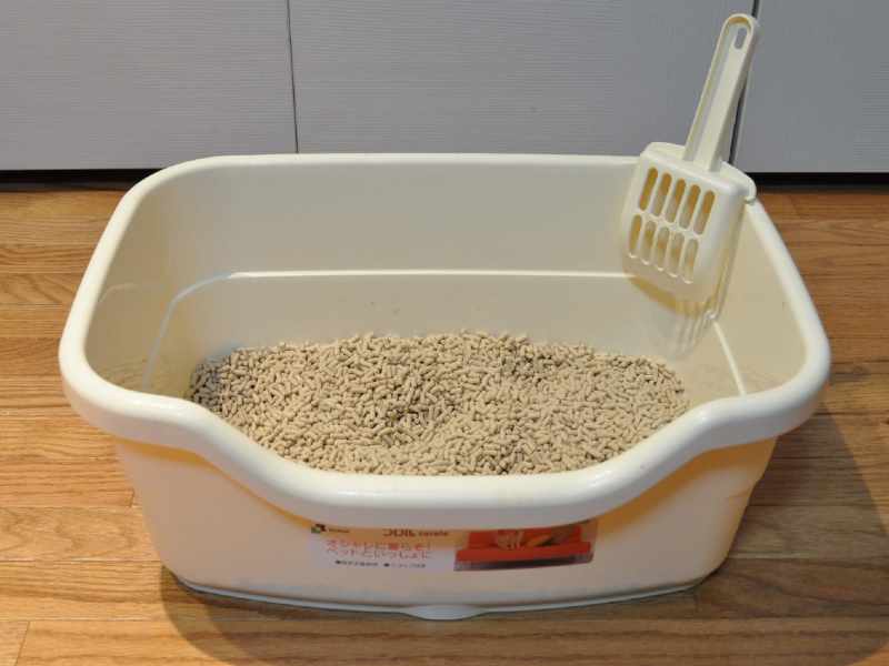 6 Best Senior Cat Litter Boxes (2022) Low Sided for Older, Elderly Cats