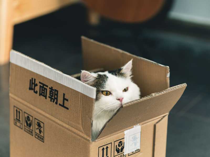Wood Pellet Cat Litter Natural and Safe Pellet Litter (2021 Reviews)