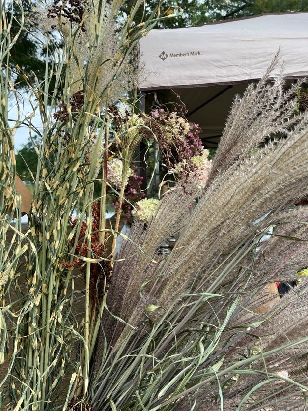 Around Garlic Fest Gallery Maine's Garlic Fest