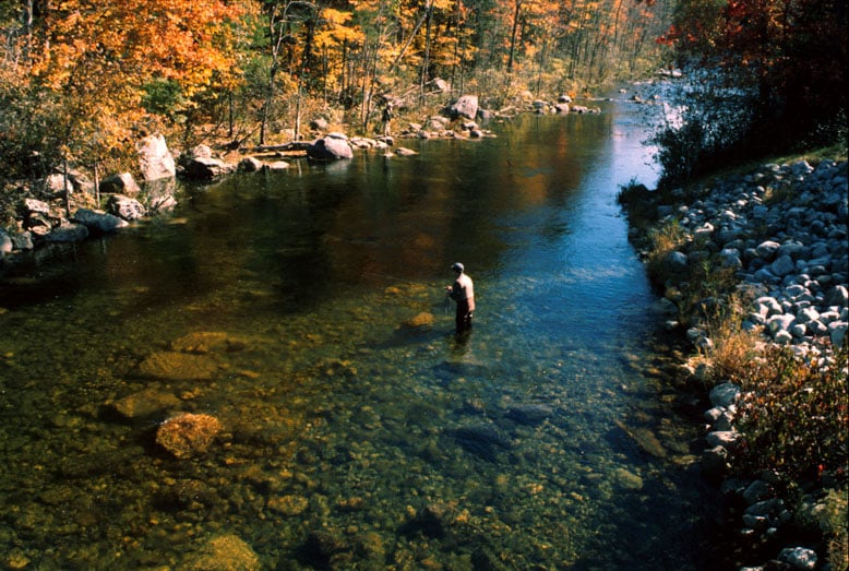 Maine Fly Fishing Guides Maine Guides Online