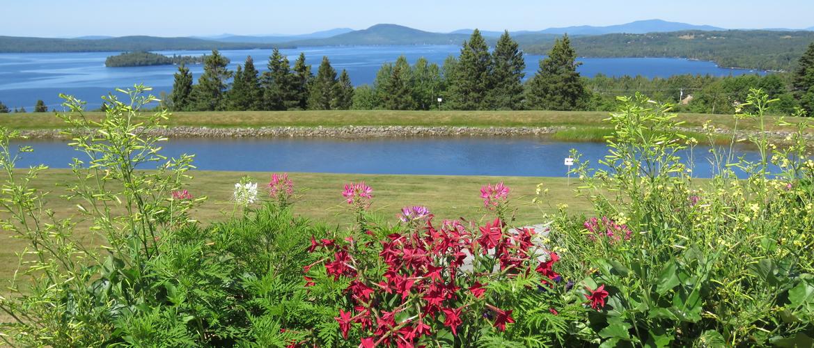 Rangeley Lake Real Estate and Homes for Sale.