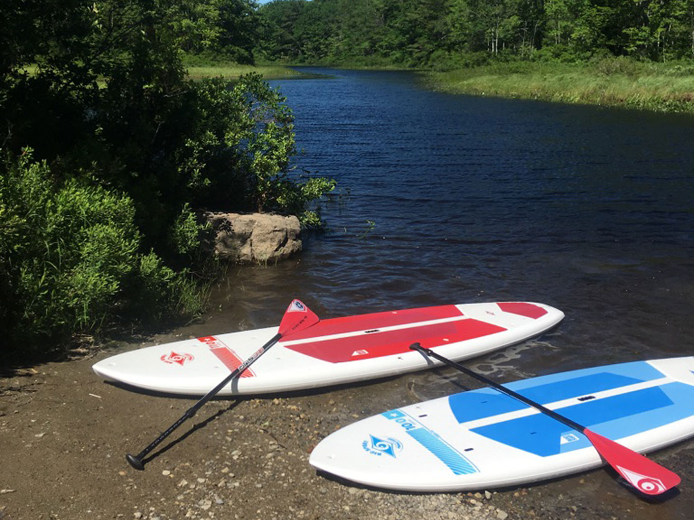 Maine Kayaking Trips Photo Gallery Maine Kayak