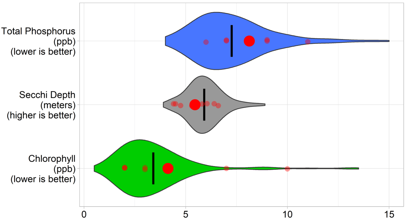Maine Lakes Island Pond