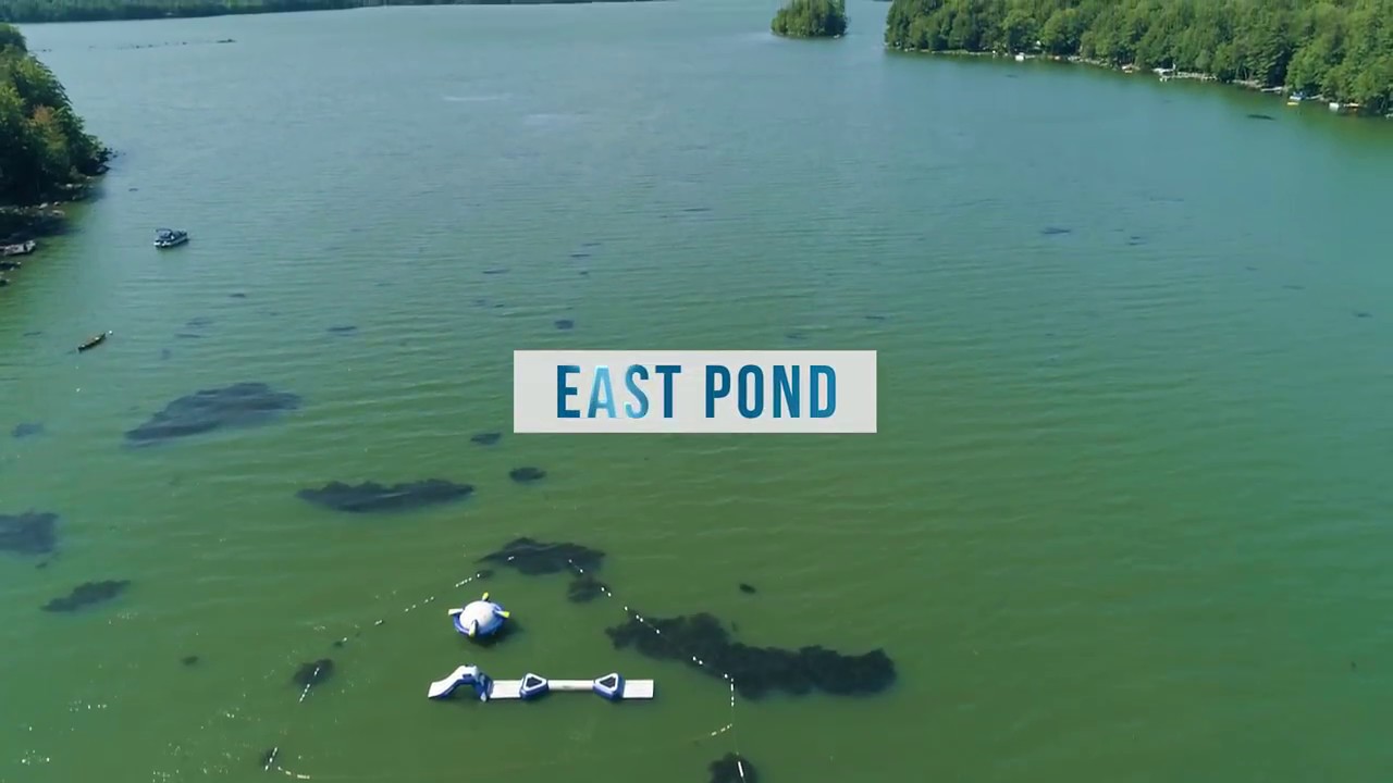 Maine Lakes BlueGreen Algae on East Pond, now what?!