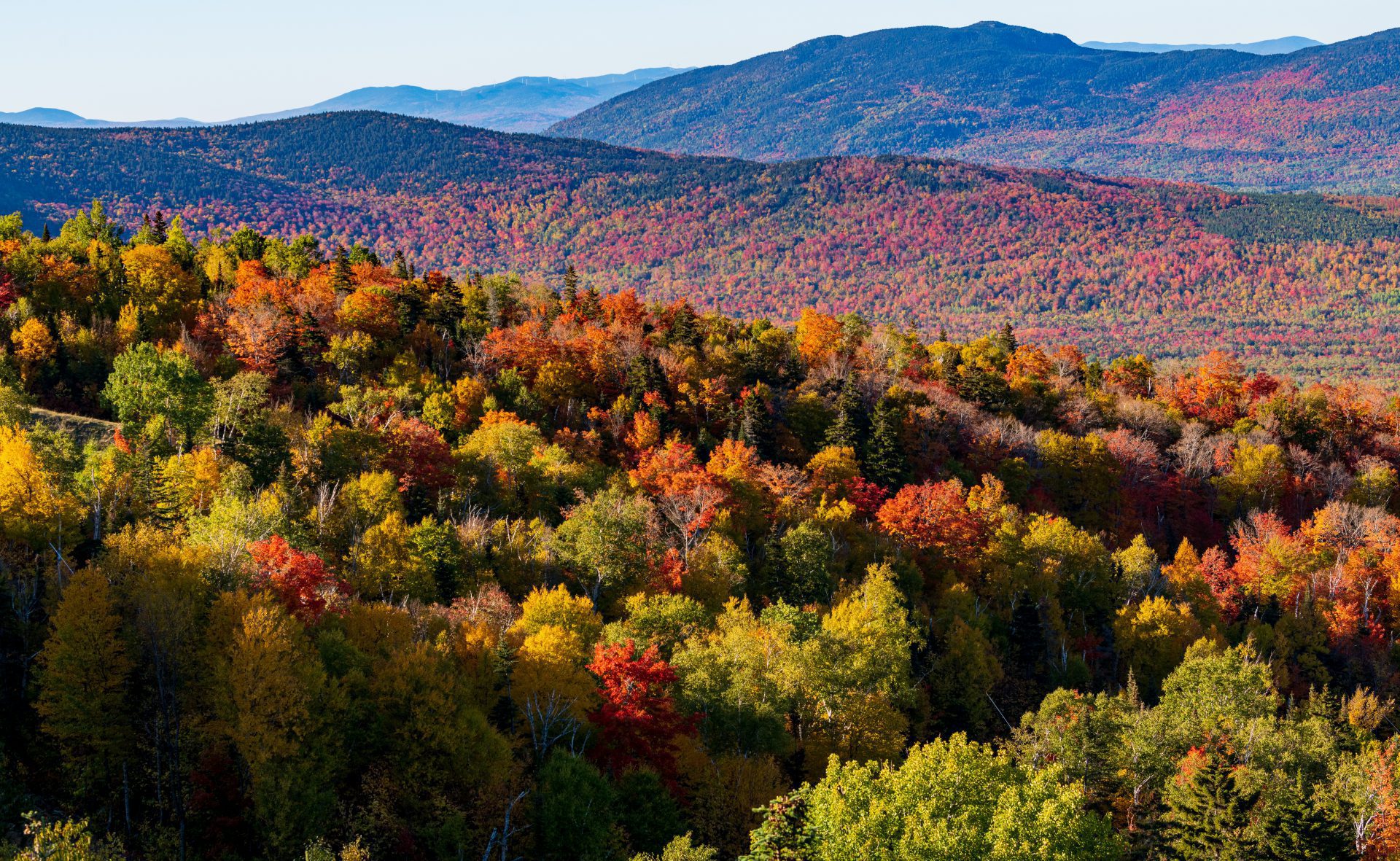 Maine Maple Producers Association MMPA