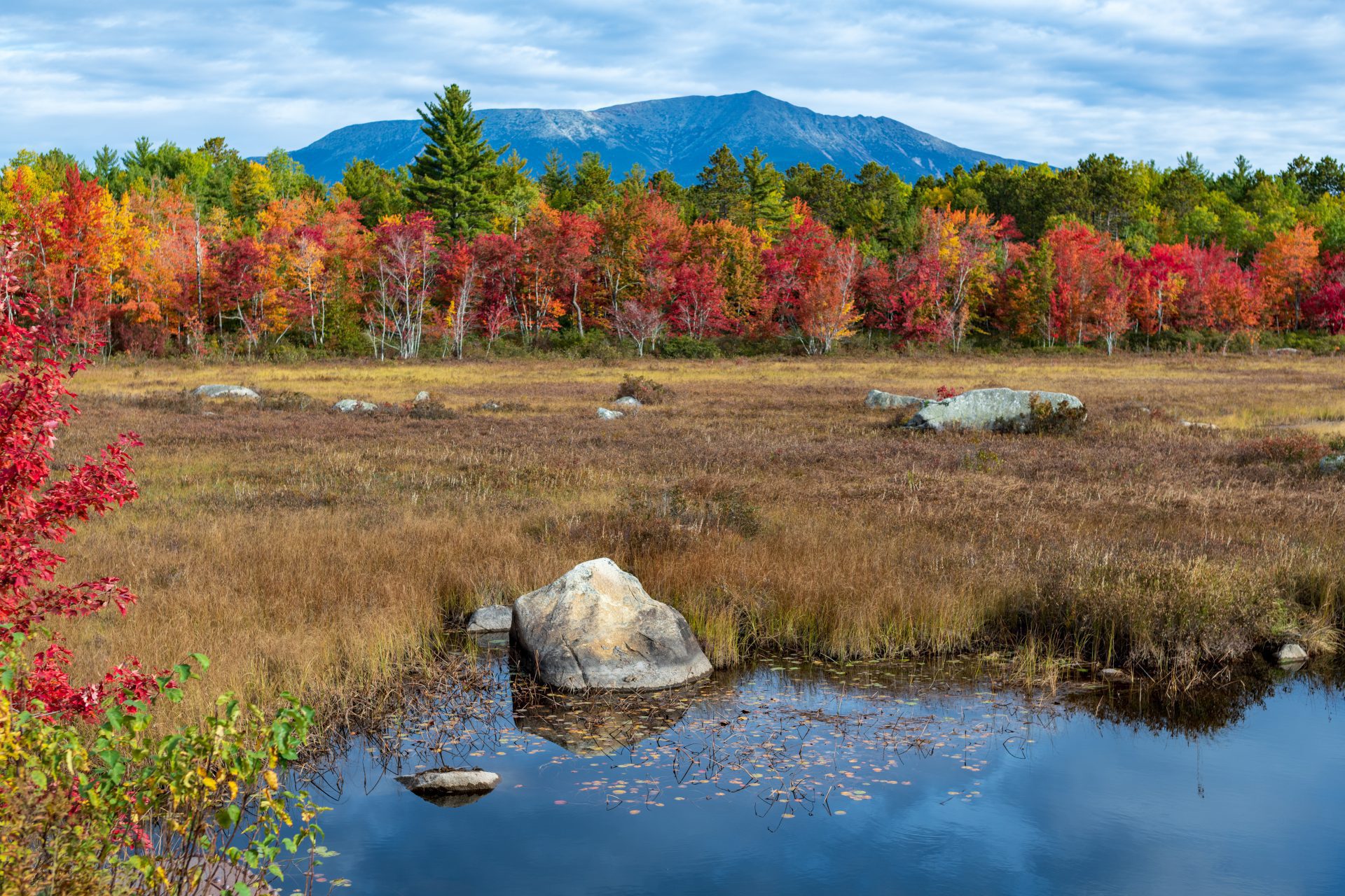 About Maine Maple Producers Association