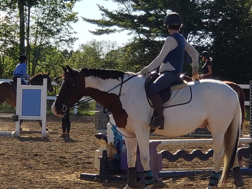 Hunter/Jumper SeaHorse Stables