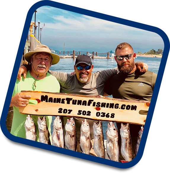 Maine Tuna Fishing Official site