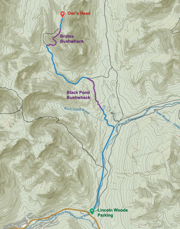 Winter Bushwhack Owl’s Head Maine Wanderlust