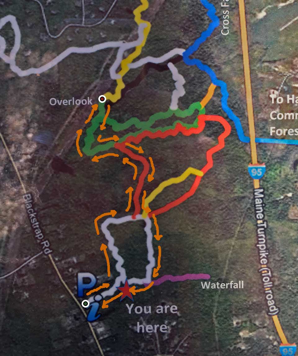 Hike Blackstrap Hill Preserve Maine Wanderlust