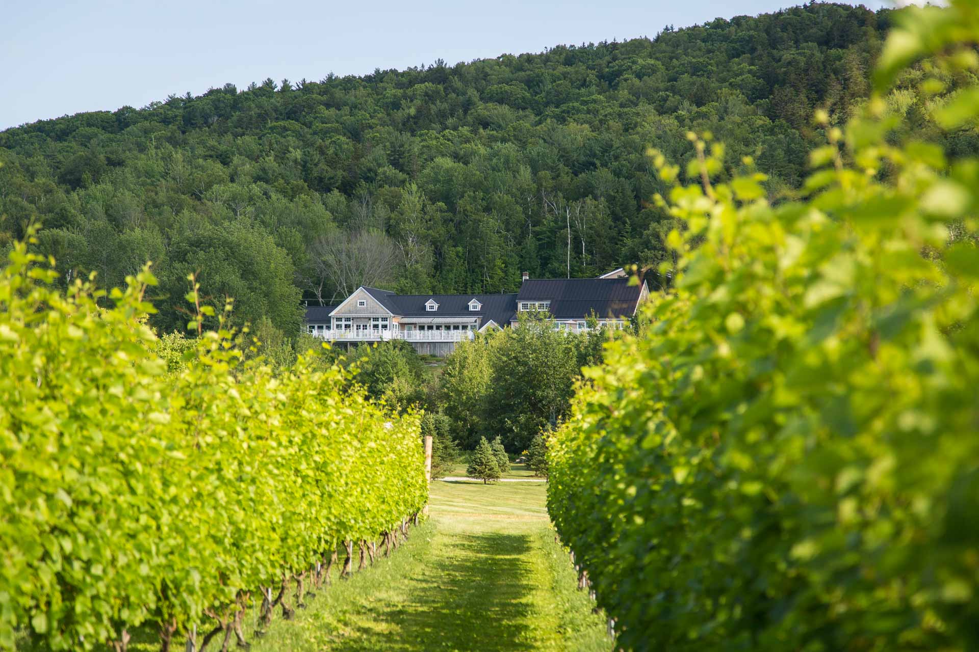 Cellardoor Winery Made in Maine