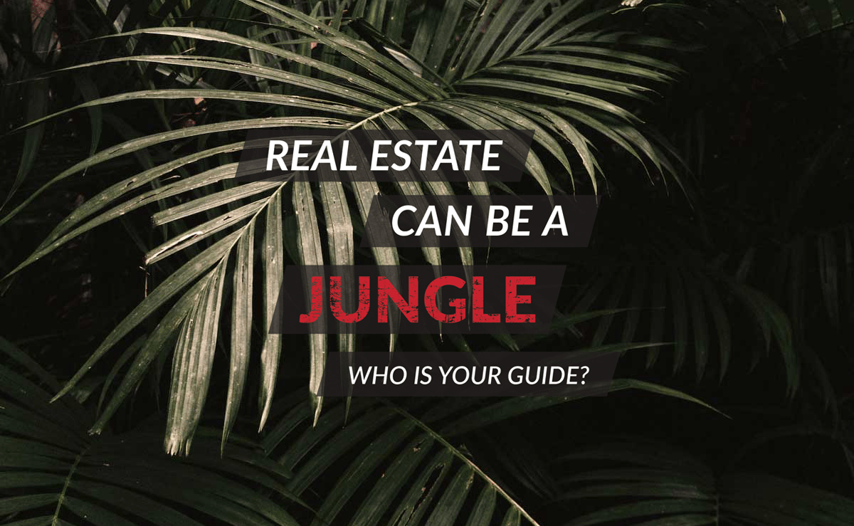 Real Estate Can Be a Jungle Mainframe Real Estate