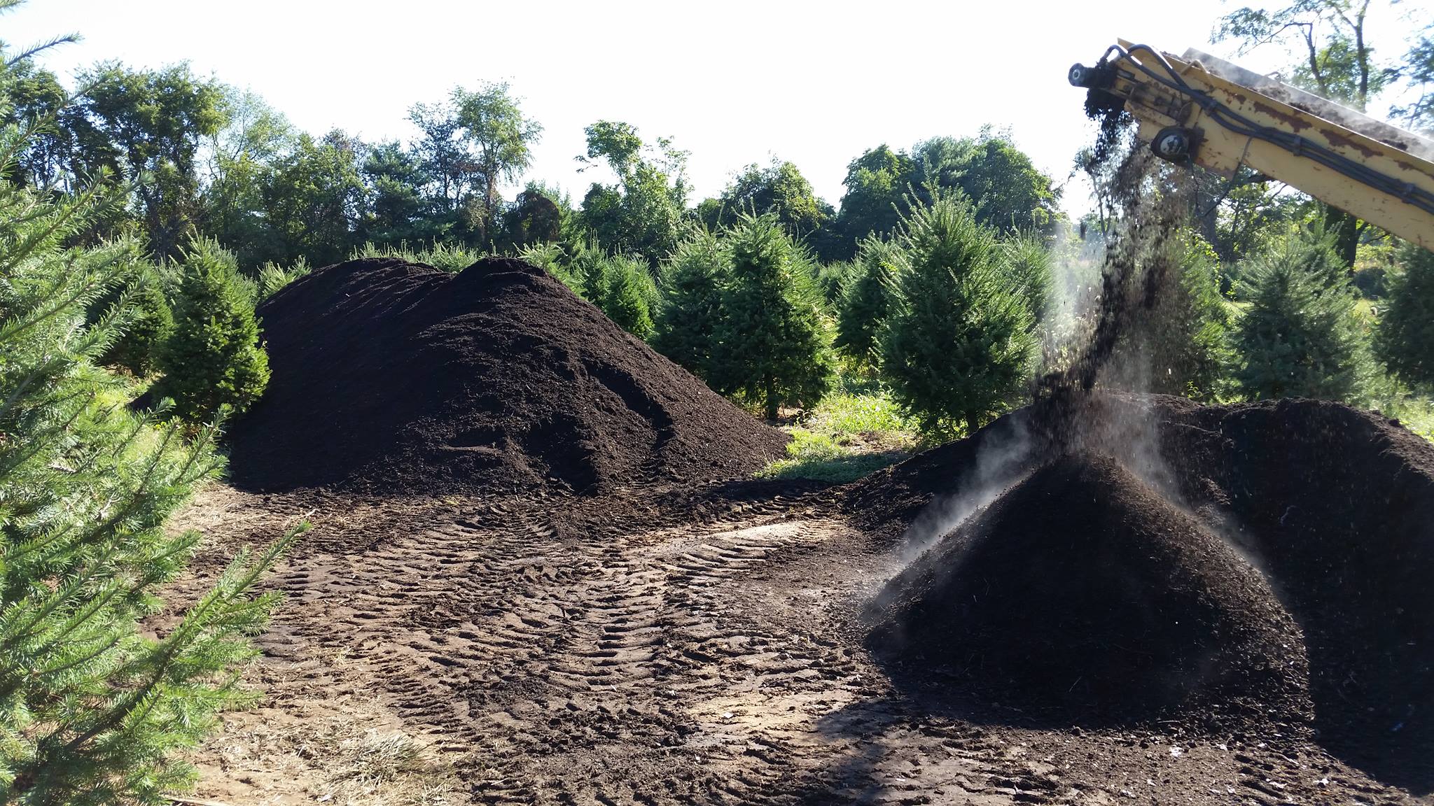 Kitchen Harvest SHIFT