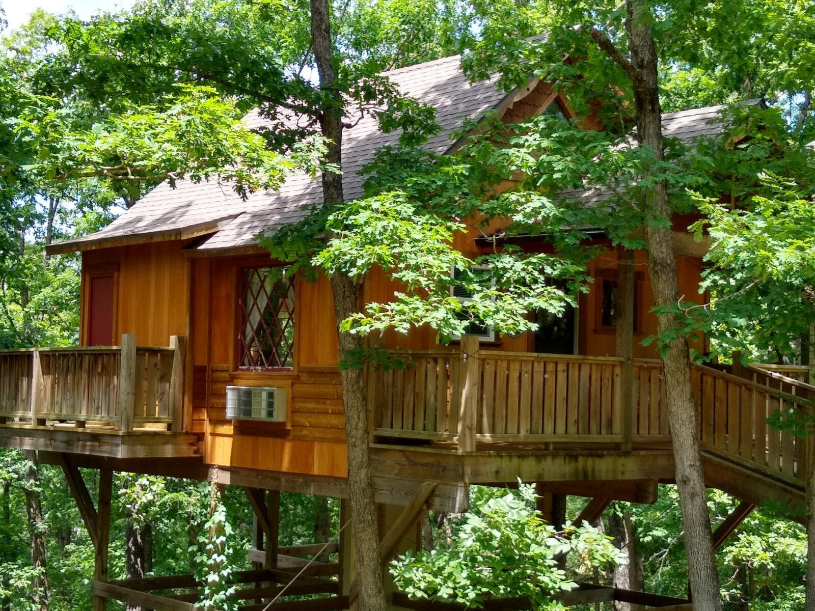 This Amazing TreeHouse Resort, Is Like Something From A Fairy Tale