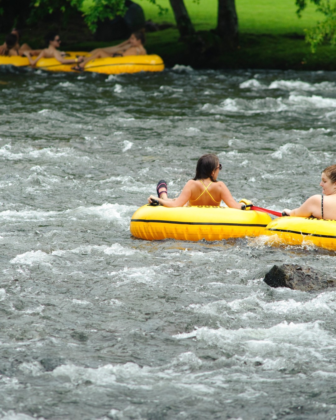 Enjoy The Family Adventure Of A Lifetime At River Rat Tubing
