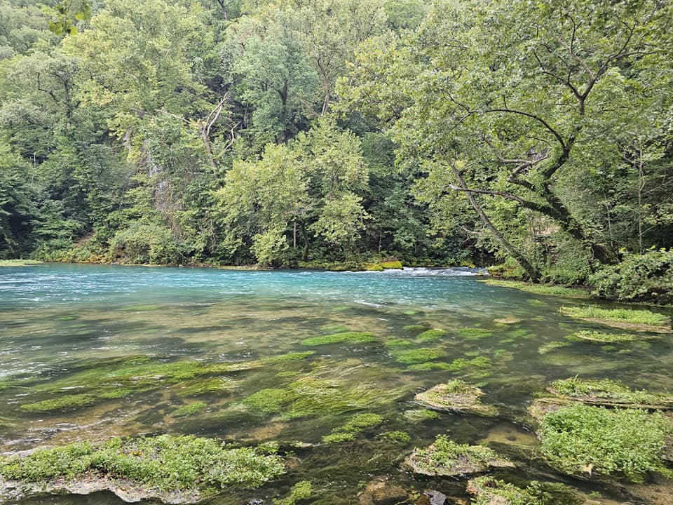 This Beautiful Natural Spring In Missouri Has All The Fun You Can