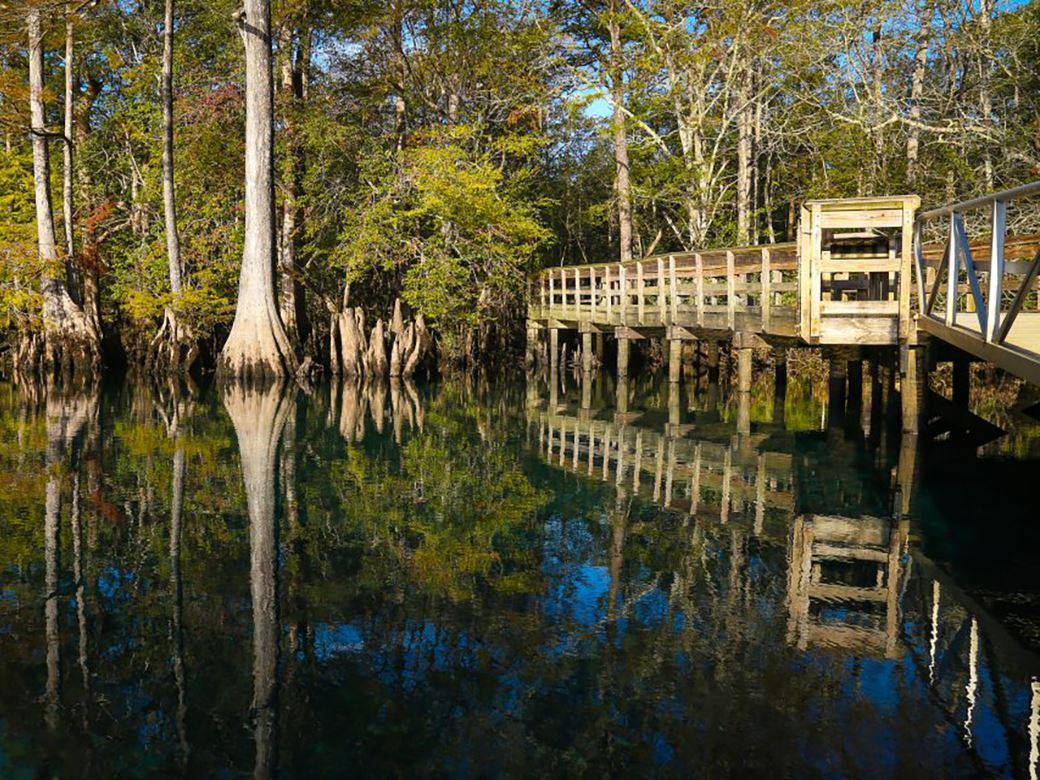 Morrison Springs County Park Is Absolutely And You Need To