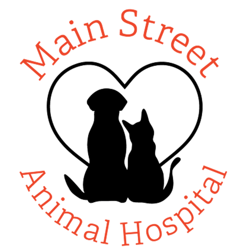 Main Street Animal Hospital in Roanoke Your Best Vet