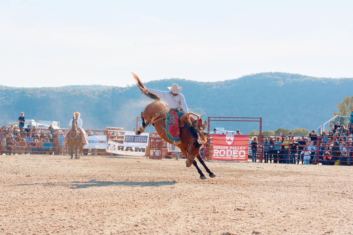 Community Leader Reflects on Impact of Hudson Valley Rodeo Main