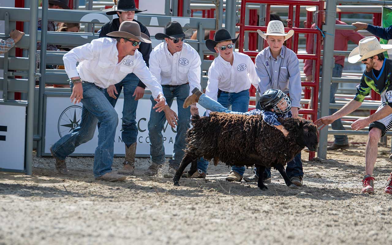 3rd Annual Hudson Valley Rodeo Brings Cowboys and Cowgirls to Amenia