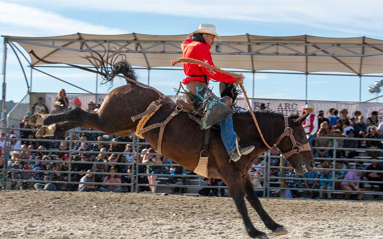 3rd Annual Hudson Valley Rodeo Brings Cowboys and Cowgirls to Amenia