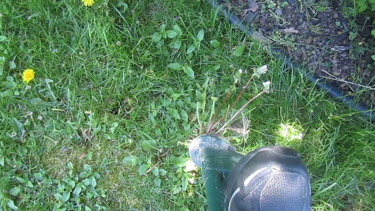 ChemicalFree Lawn Maintenance Motions