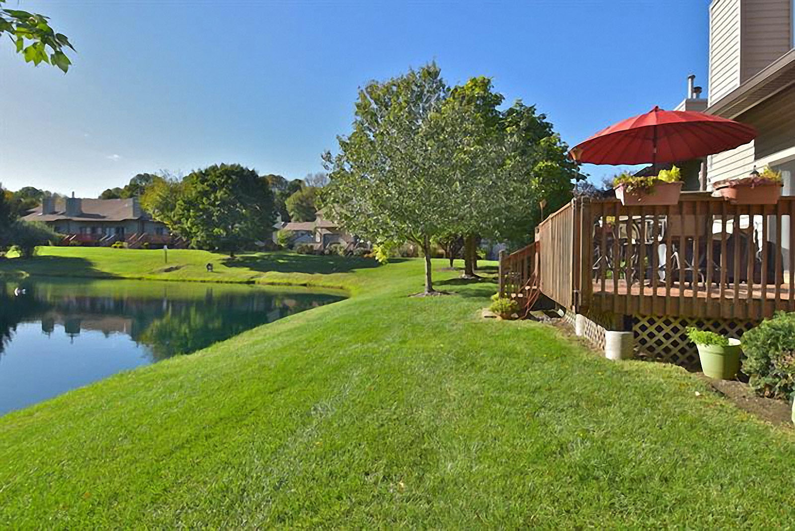 Hampton Commons Maione Inc.