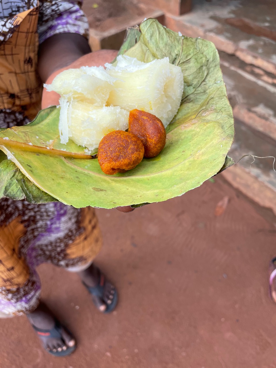 Adjarrá e o riacho negro (Rivière Noire) Voltas pelo Benim rural