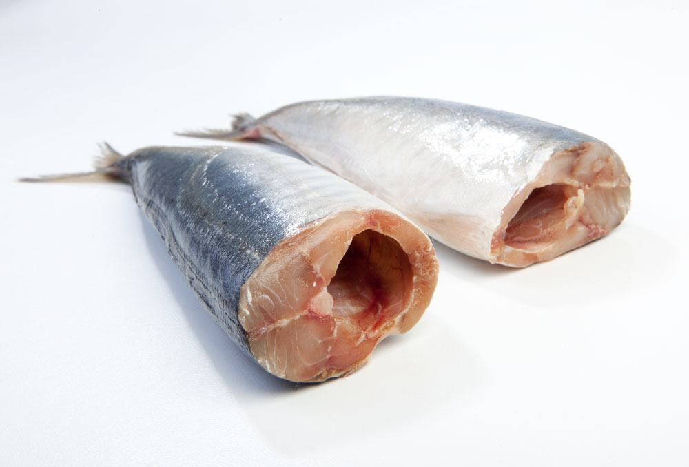 Mackerel (Atlantic Horse Mackerel) Maishi Group