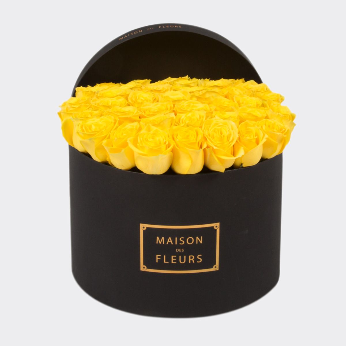 Orchids Buy Orchid Flowers Online Maison Des Fleurs
