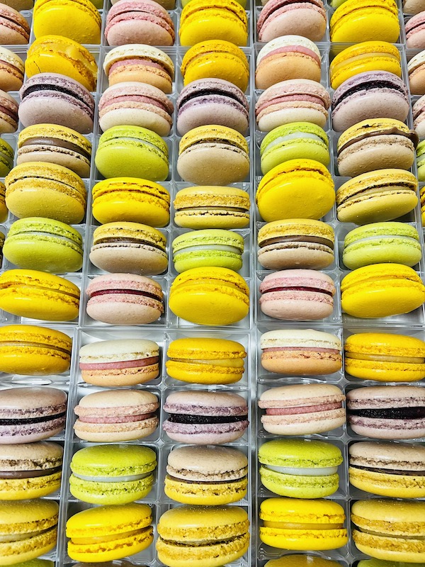 Pâtisserie Chocolaterie Maison Julien à Tulle en Corrèze Limousin