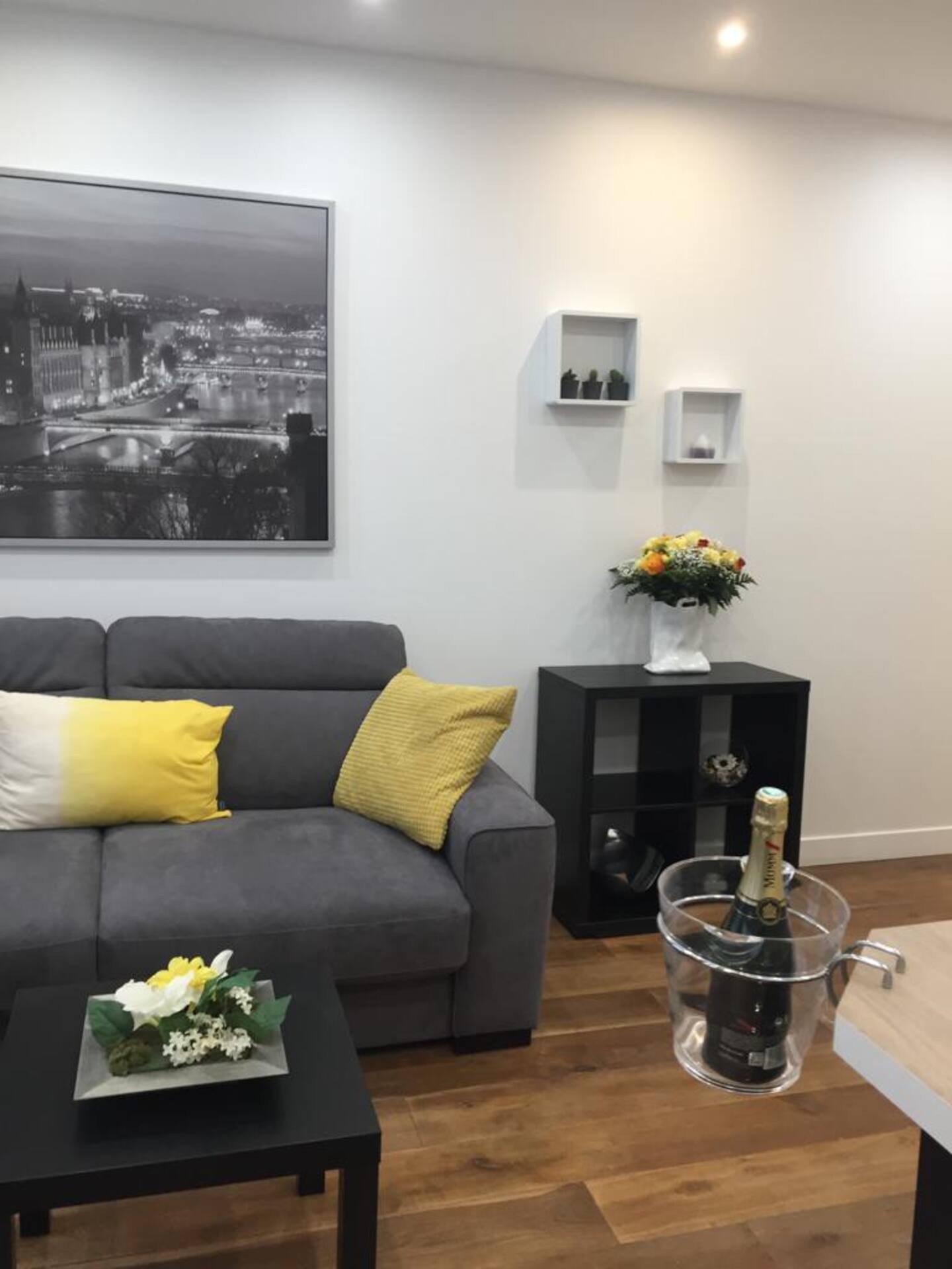 Rent 1 Bedroom Apartment