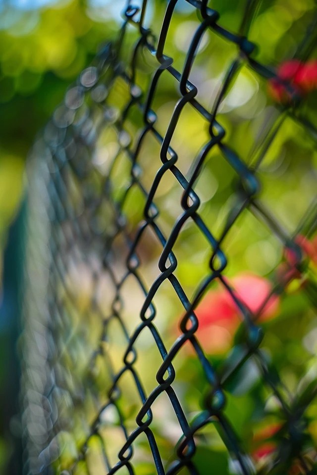Creative Chicken Wire Fence Ideas for Your Yard