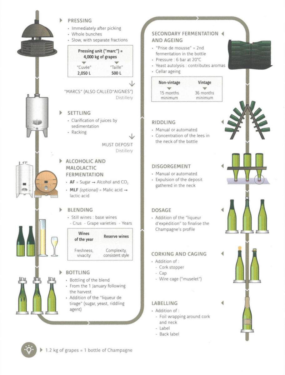 Champagne, Fundamentals Union des Maisons de Champagne