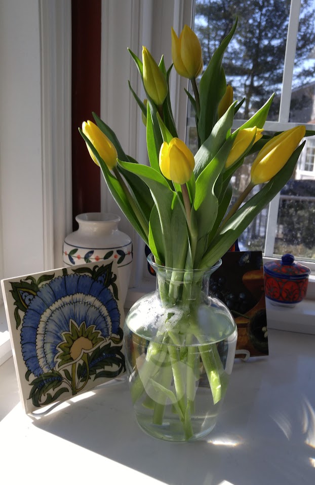 Postwar Valérie Perrin, Fresh Water for Flowers Novel Readings