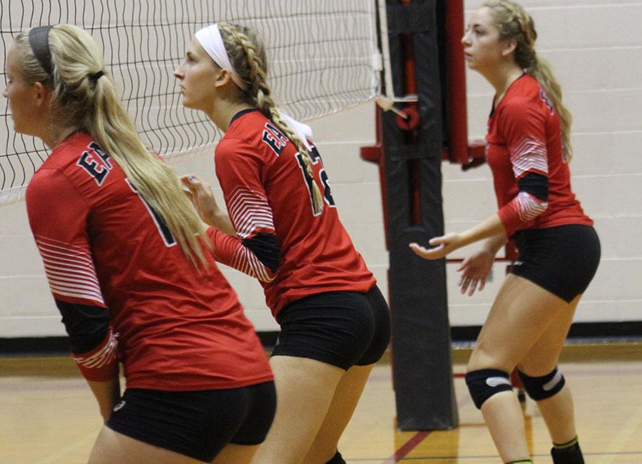 Volleyball Fusion by OneMaize Media