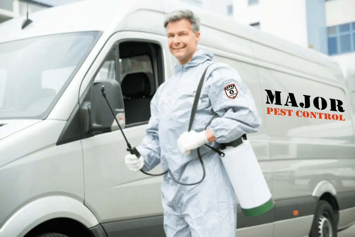 Edmonton Pest Control Services Major Pest Control