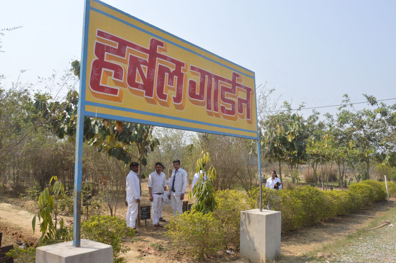 Herbal Garden Shri Babu Singh Daddu Ji Ayurvedic