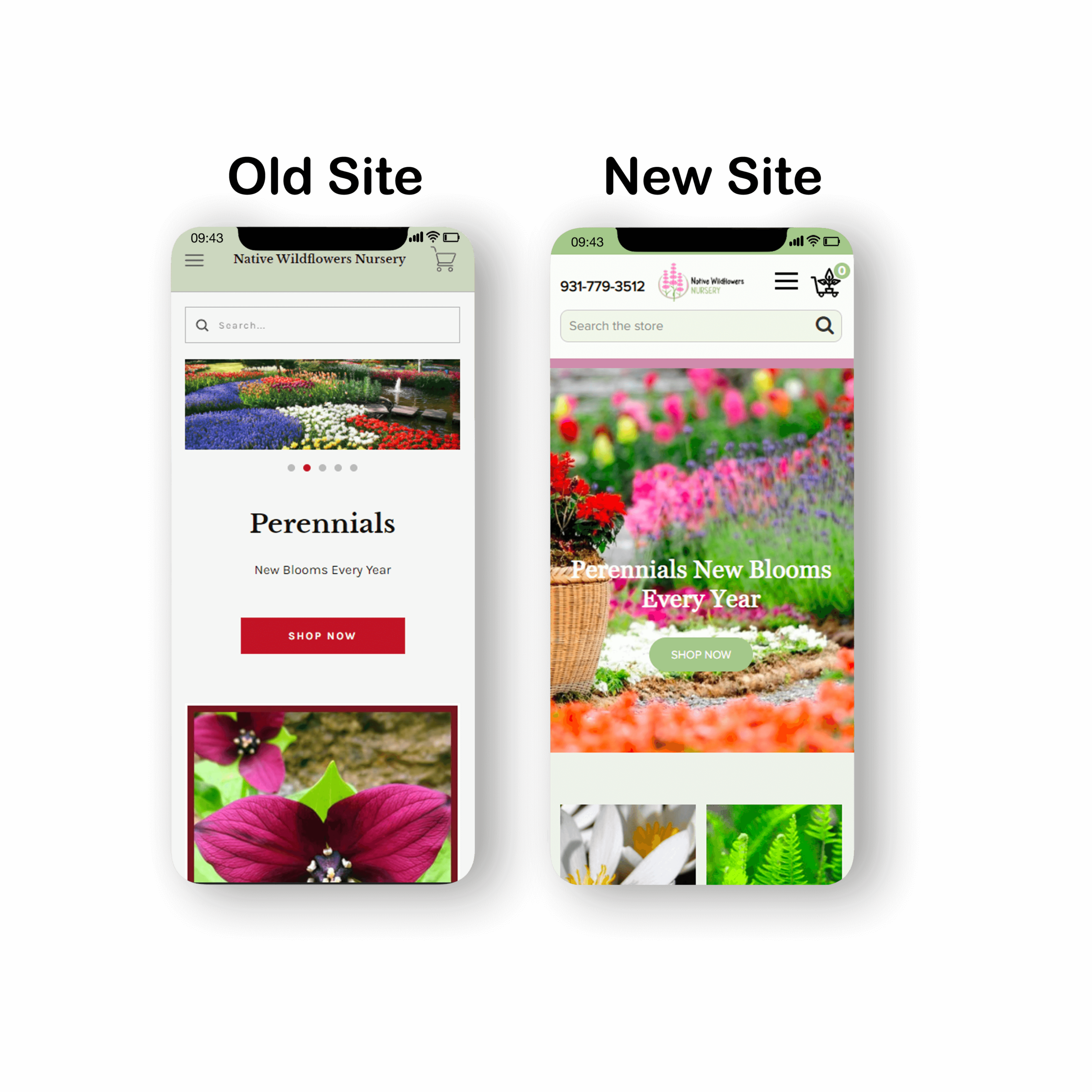 site ReDesign Native Wildflowers Nursery